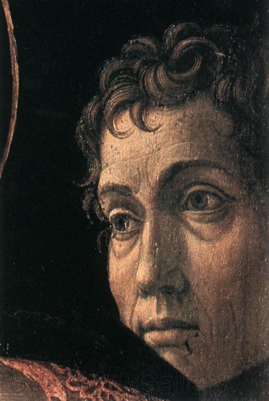 MANTEGNA, Andrea The Madonna of the Cherubim sg France oil painting art